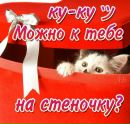Ірина Штельмах фотография #24 (источник - https://vk.com/id162222660)