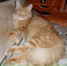 Фотография Keehl Katrina