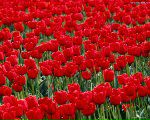 Фотография Виноградовой Анны