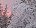 Ольга Сікачина фотография #29 (источник - https://vk.com/id115800562)