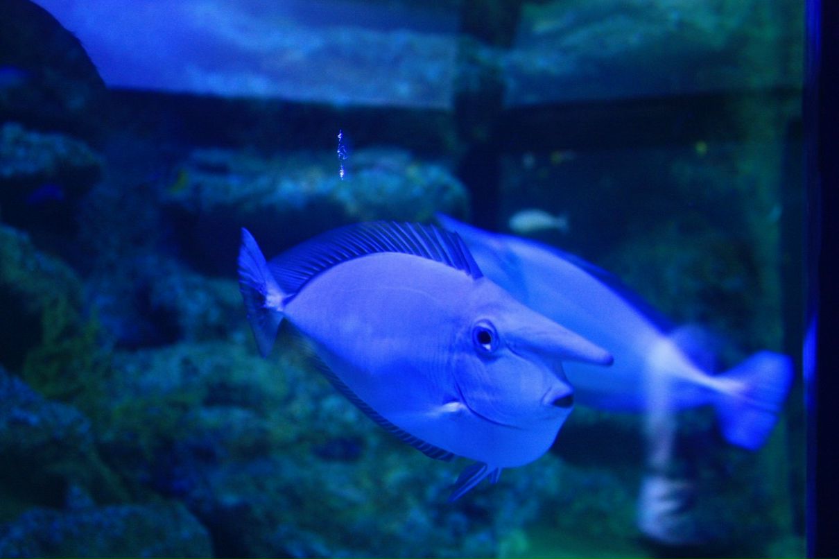 Дмитрий Иванов фотография #18