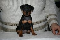 Фотография Суслиной Ольги