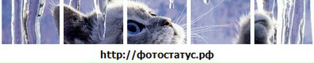 Адріанка Дякун фотография #32 (источник - https://vk.com/id137475184)