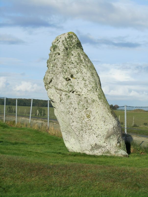 Михаил Плотников фотография #23