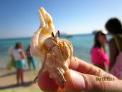 Анна Бу фотография #33 (источник - https://vk.com/id137102)