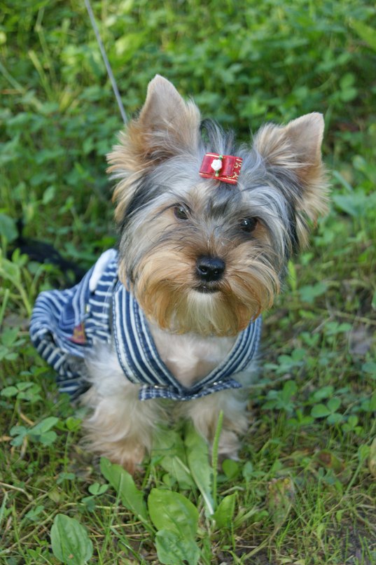 Елена Проничева фотография #32