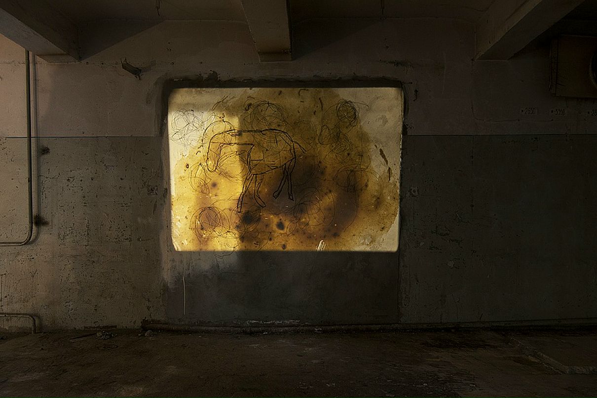 Лейли Асланова фотография #21