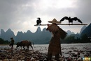 Kong Hou фотография #42 (источник - https://vk.com/id20133837)