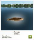 Савелій Бахтінов фотография #5 (источник - https://vk.com/id41655992)