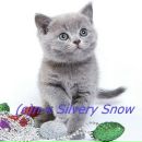 Діана Павлючик фотография #21 (источник - https://vk.com/id151698746)