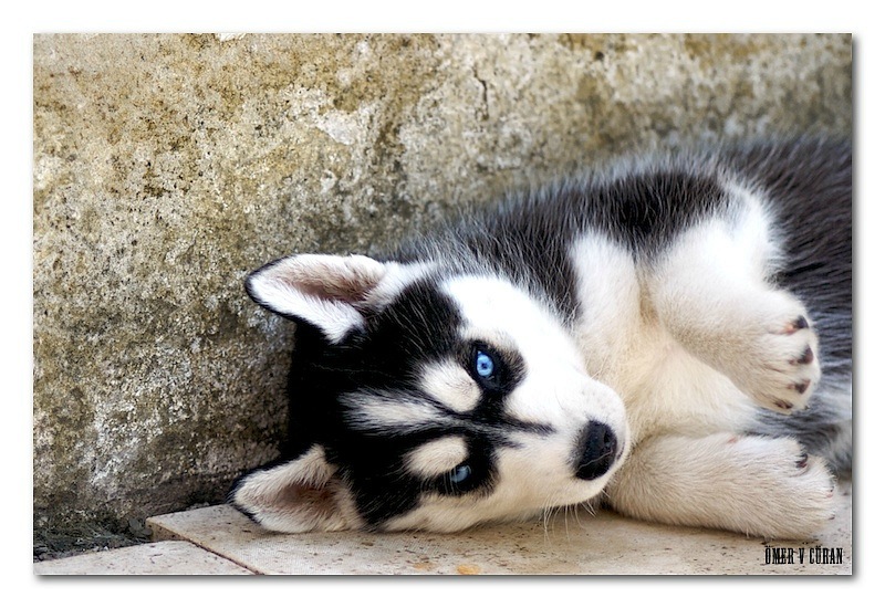 Олег Д фотография #41