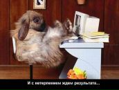 Саша Охремов фотография #32 (источник - https://vk.com/id158778267)