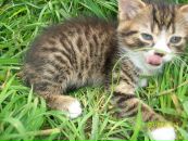 Іннуся Ануфрієва фотография #47 (источник - https://vk.com/id93938207)