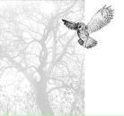 Фотография Кондратьева Максима Ежи