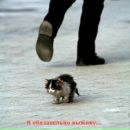 Фотография Томилова Александра