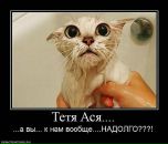 Фотография Галочкиной Аси