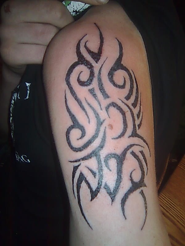 Макс Гладышев фотография #50