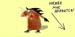 Фотография Коптилкиной Юлии