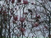 Фотография Макаровой Олеси