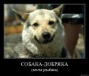 Андрій Климчук фотография #35 (источник - https://vk.com/id151428789)