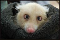 Фотография Григорова Александра