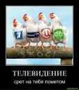 Ольга Вередін фотография #11 (источник - https://vk.com/id120300412)