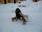 Фотография Янковской Екатерины