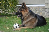 Артём Ант фотография #14 (источник - https://vk.com/id2387886)