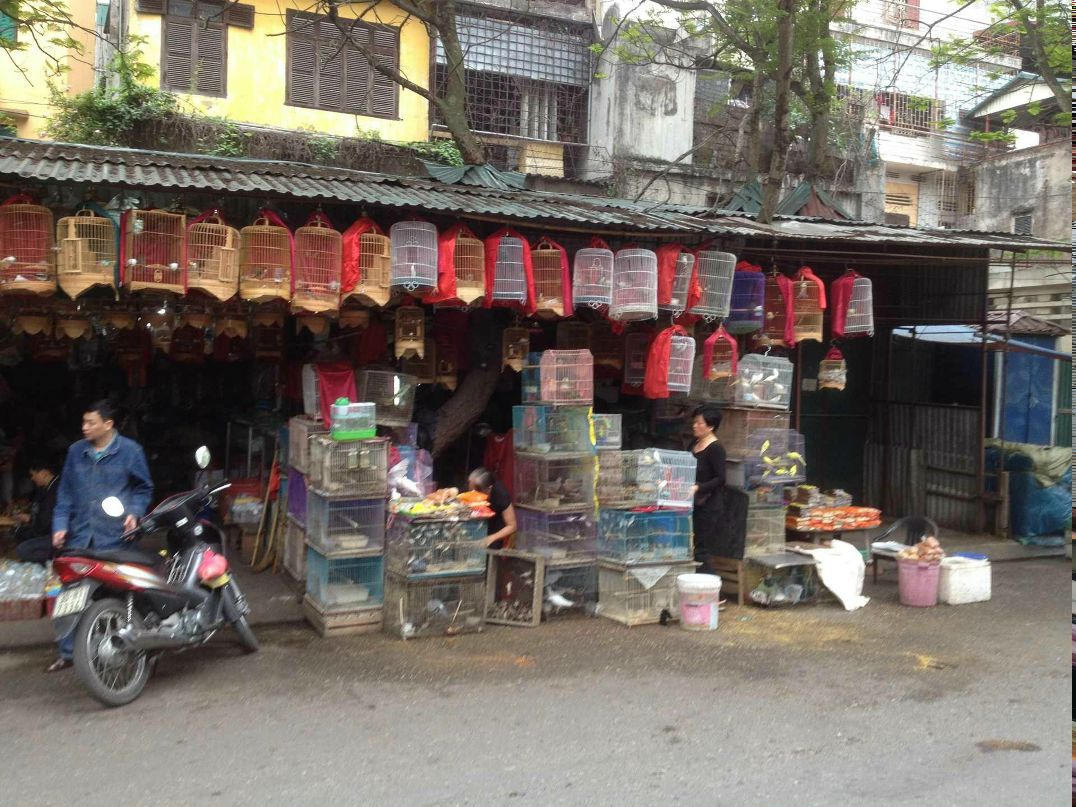 Иван Иванов фотография #28