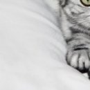 Наталія Олійник фотография #46 (источник - https://vk.com/id85387598)