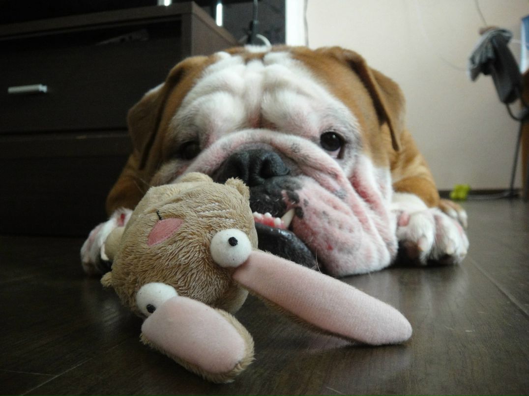 Анна Вист фотография #34