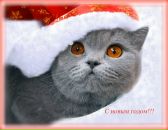 Фотография Серебрянниковой Тани