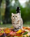 Фотография Диана Антропова