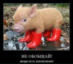 Фотография Пустовалова Алексея