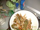 Леонид Торопов фотография #44 (источник - https://vk.com/id163850)