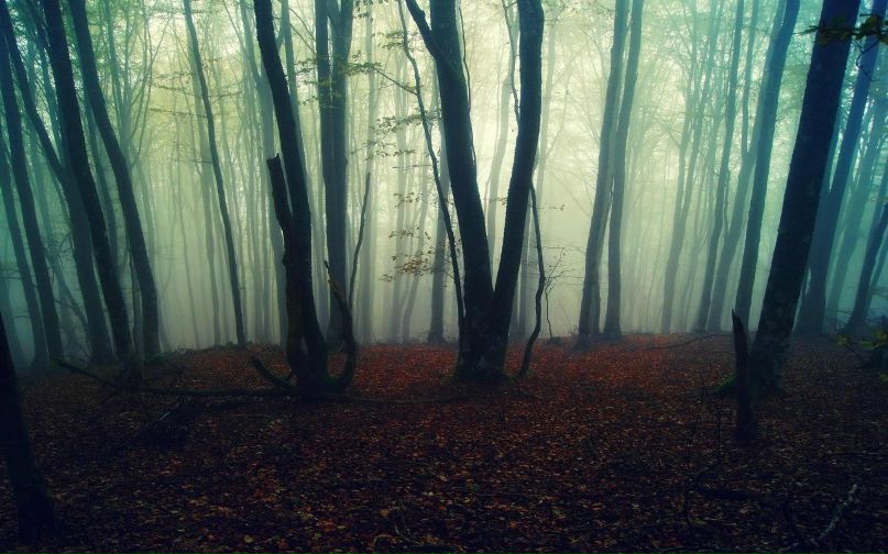 Александр Тиняков фотография #10