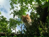 Слава Олейников фотография #43 (источник - https://vk.com/id18881483)