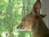 Фотография Тищенко Наташи