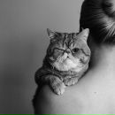 Фотография Лаптевой Татьяны