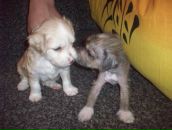 Фотография Бабенко Жанны