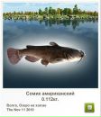 Толік Боринець фотография #2 (источник - https://vk.com/id75481498)