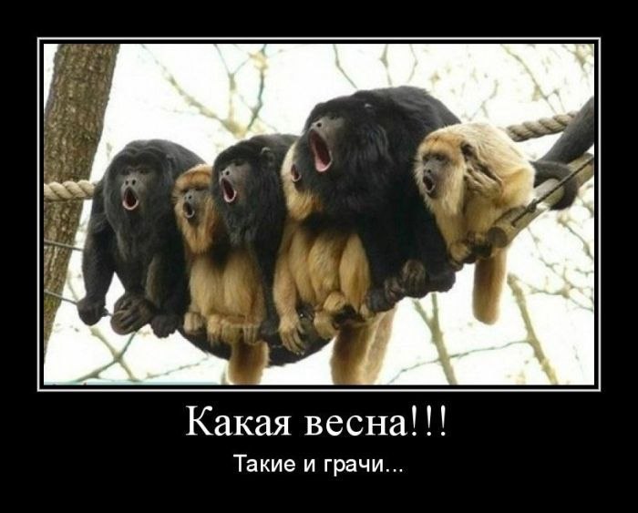 Николай Поляков фотография #28