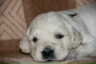 Фотография Жилина Евгения