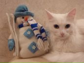 Фотография Граниной Дарьи