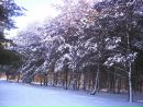 Валерій Тукаш фотография #49 (источник - https://vk.com/id110366590)