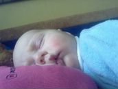 Фотография Шестаковой Анастасии