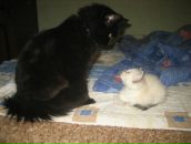 Фотография Королевой Марьяны