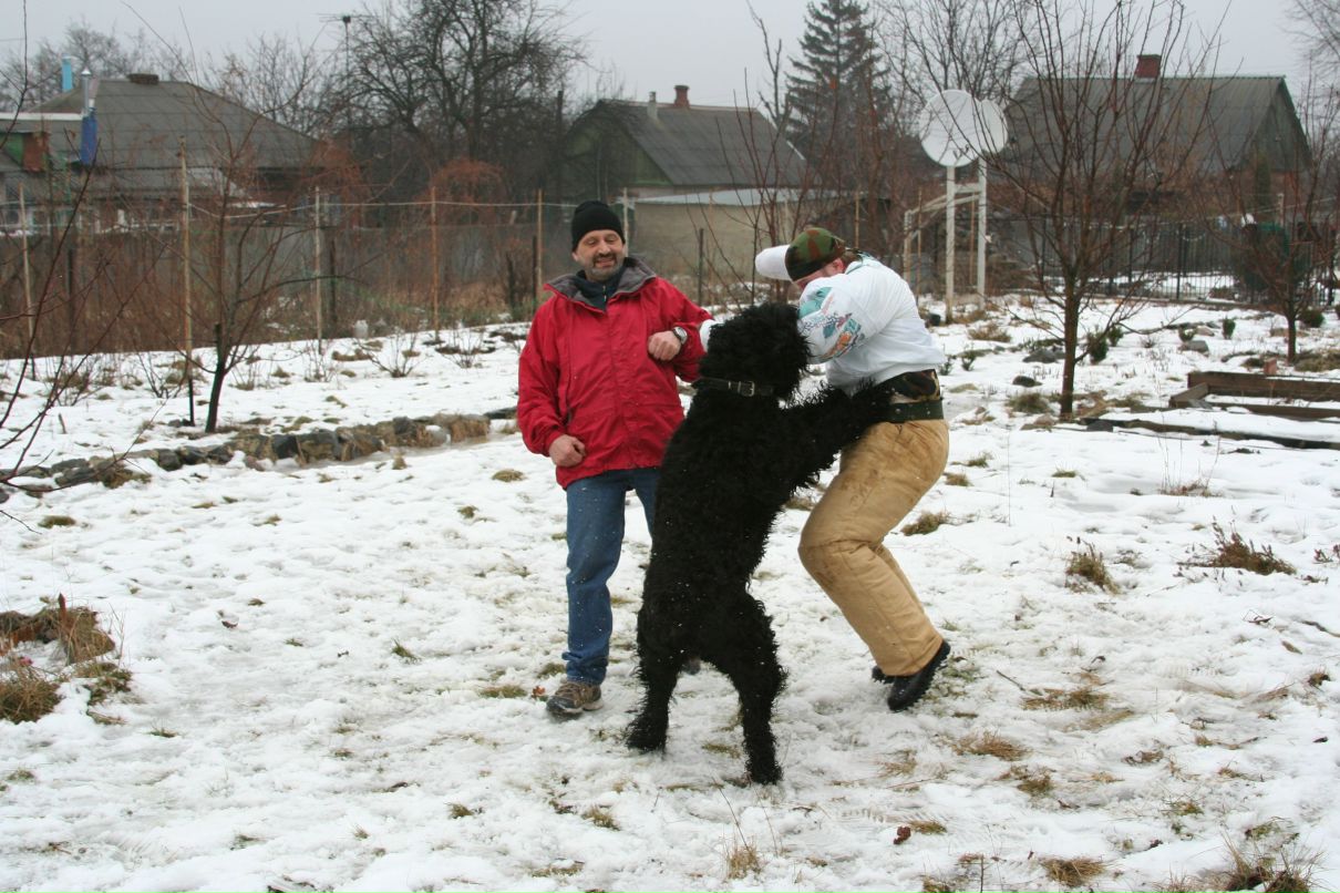 Сергей Пересунчак фотография #15