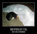 Діма Мотлюк фотография #16 (источник - https://vk.com/id92601340)