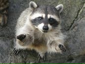 Фотография Стеценко Алёны